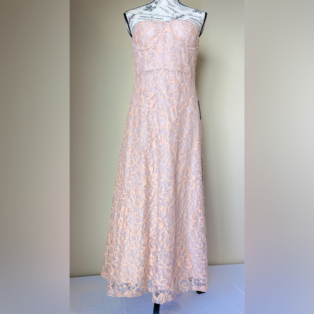 NWT NSR Blush Lace Tube Top A Line Dress Original $149